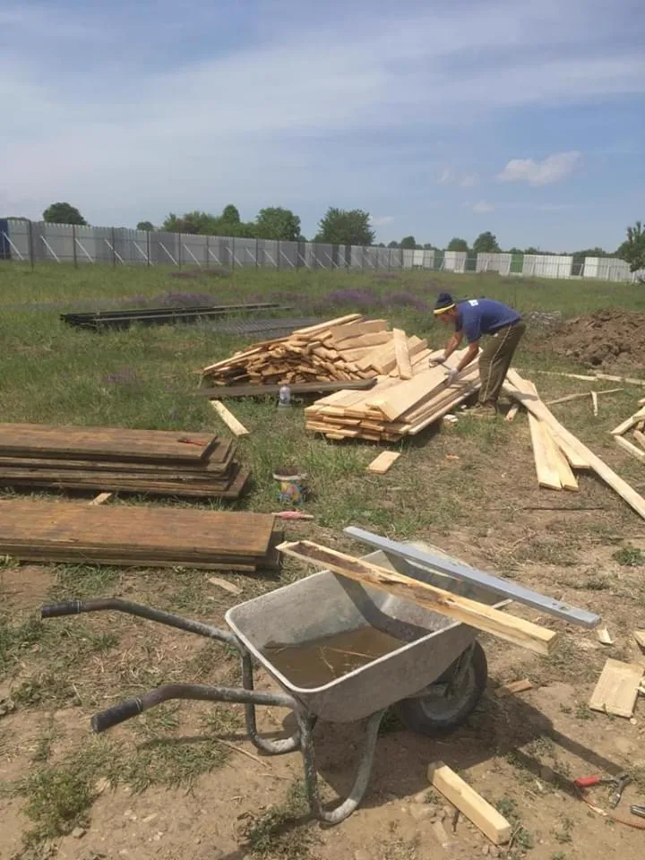 Bringing timber with the wheelbarrow.