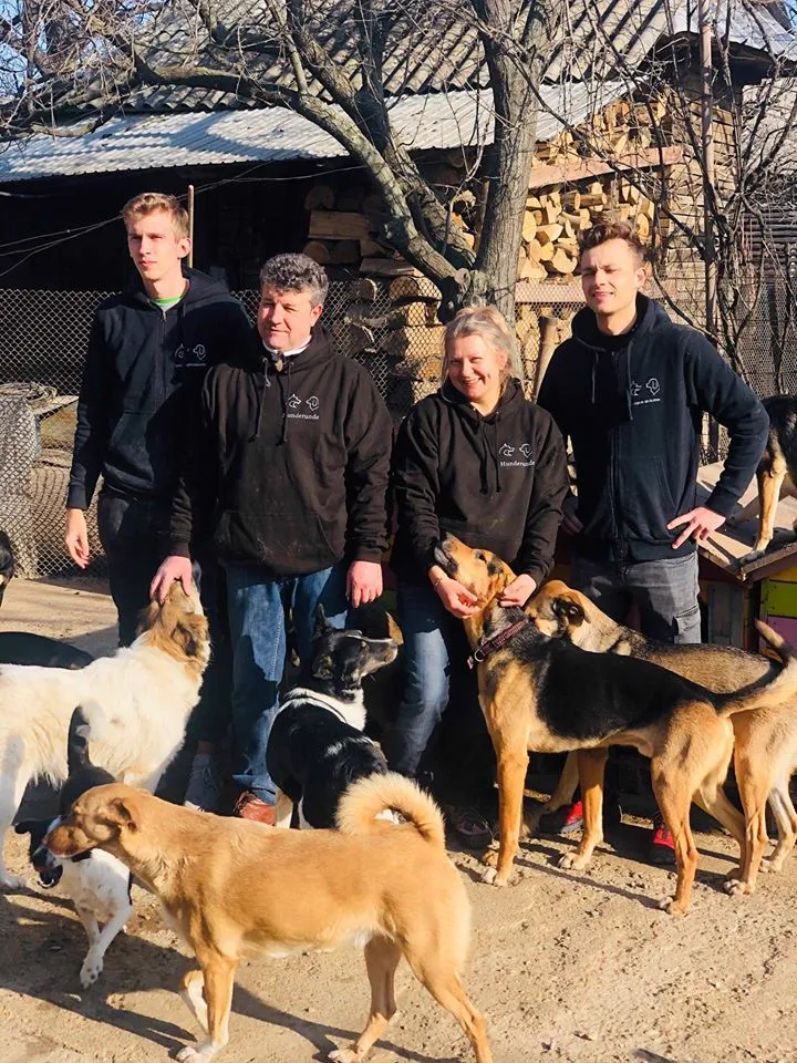 Mirela with the visitors from Hunderunde and a group of her dogs.