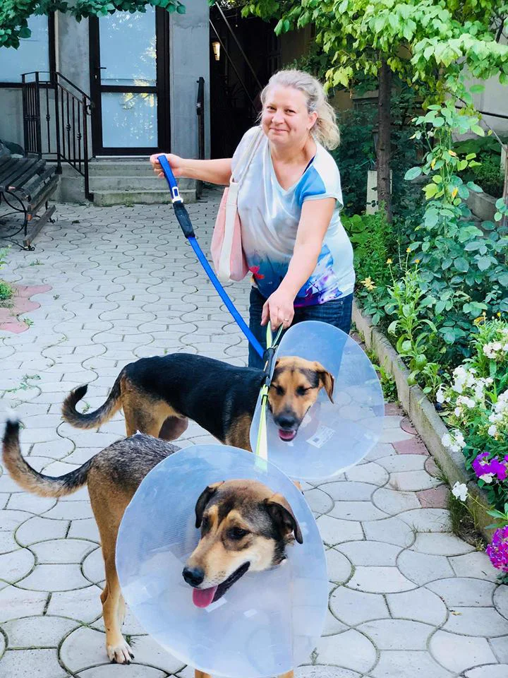 Mirela walking two dogs wearing post-surgery cones through a garden path.
