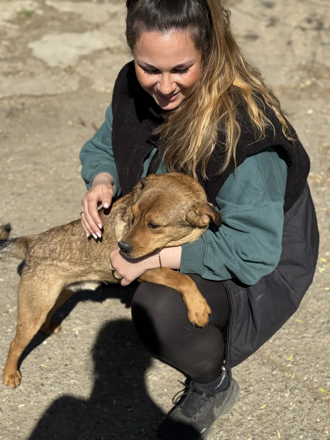 A helper hugging one of the rescue dogs.