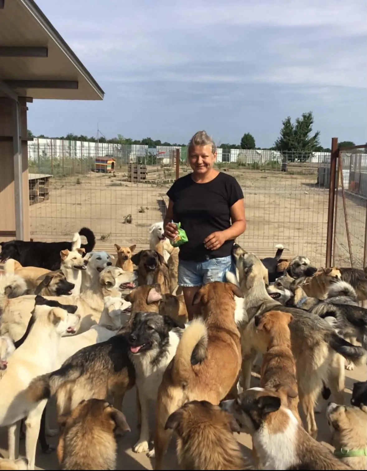 Mirela with a bag of treats in the yard, dozens of dogs crowding around her.